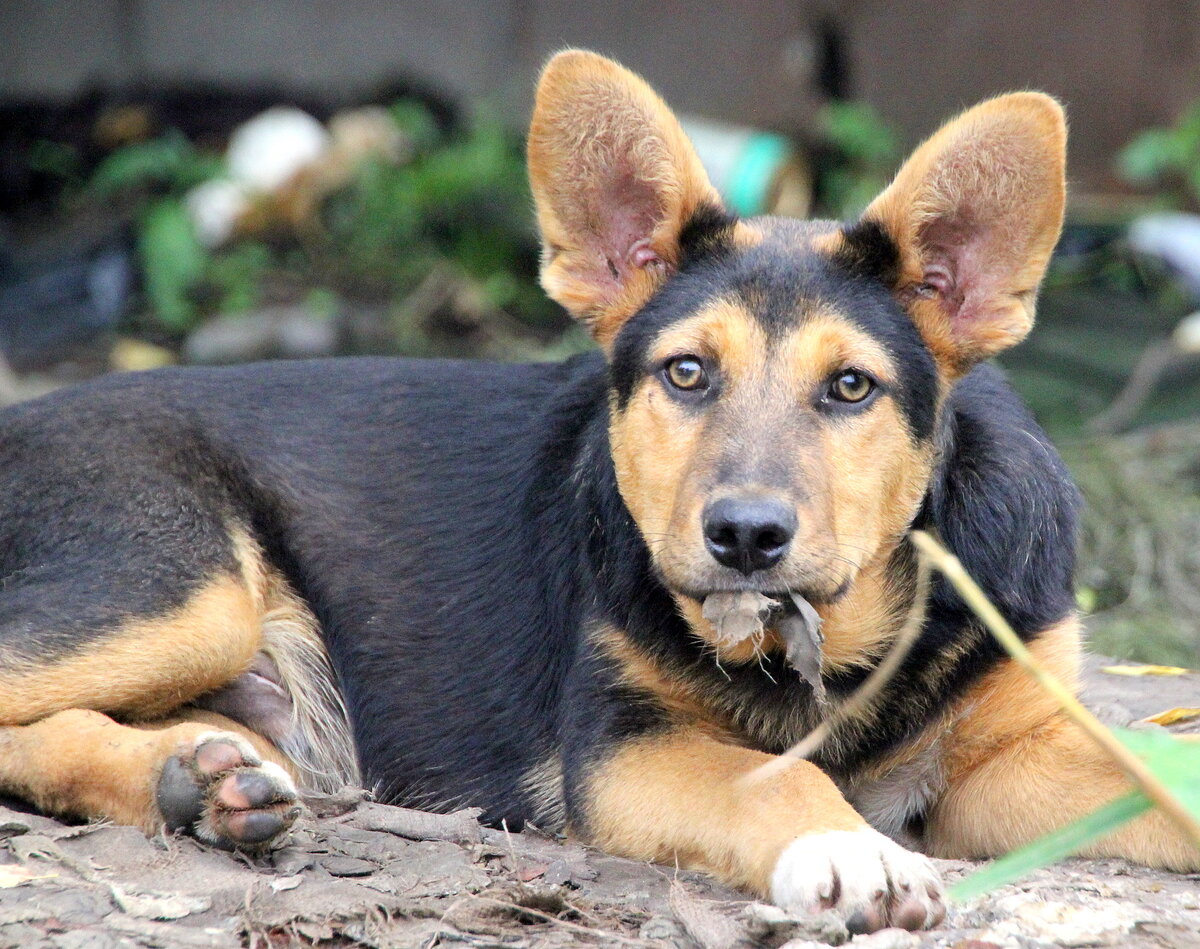 Красив до чертиков;)
