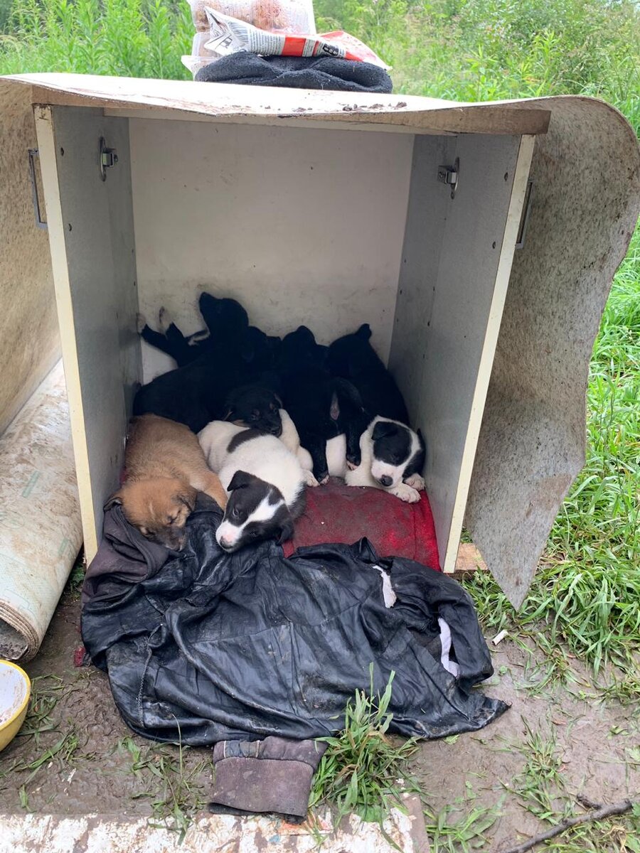 Впереди зима, это конечно не теплое для детей местечко