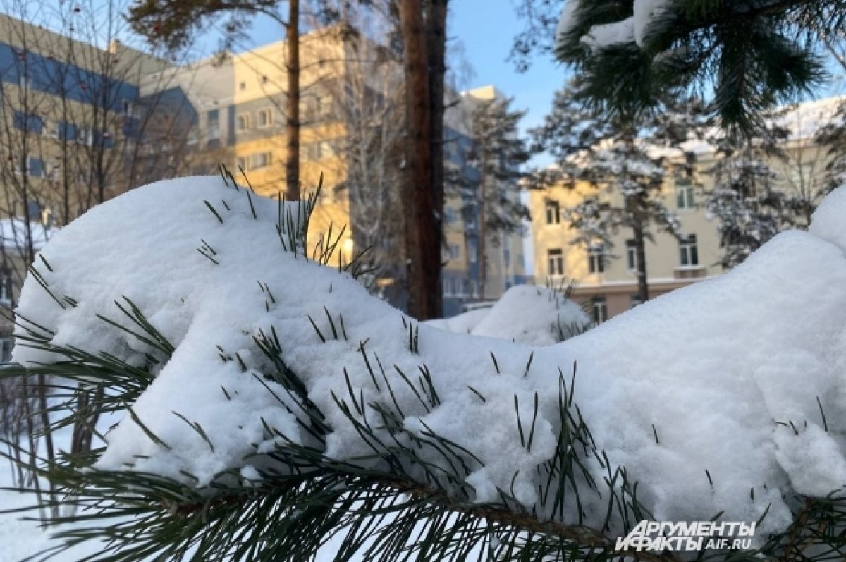    Мороз накрыл половину страны.