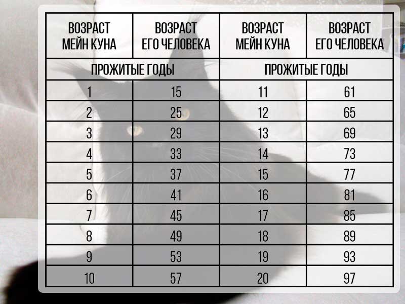 Возраст Мейн Куна и его человека