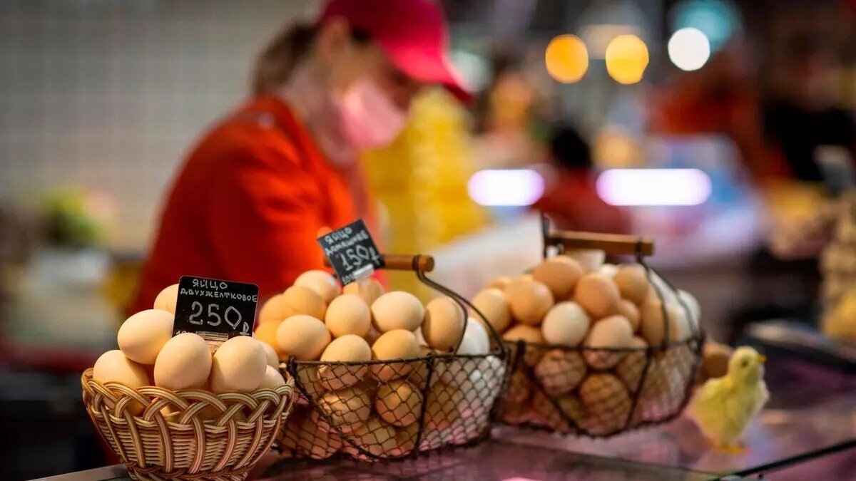     В некоторых российских регионах появились буквально золотые яйца — по 300 и по 200 рублей за десяток. Куриные яйца начали дорожать два месяца назад, но проблему так и не решили. Сейчас дело дошло до Генпрокуратуры, которой поручено провести проверки. Решит ли это проблему?