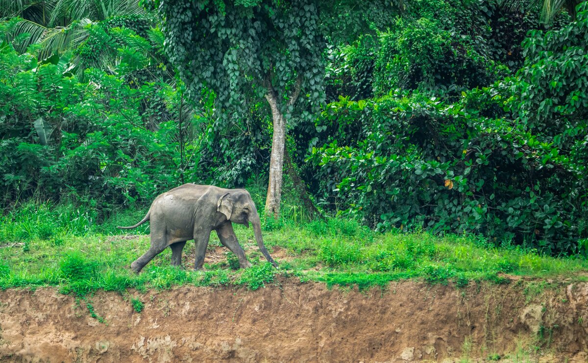 Фото с бесплатного фотоистока https://unsplash.com, автор Mosharraf Hossain