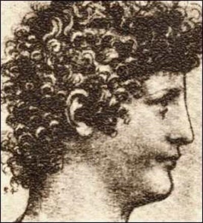 Портрет мальчика, предположительно Салаи, кисти Леонардо да Винчи. (Фото: Архив всеобщей истории / Universal Images Group через Getty Images)