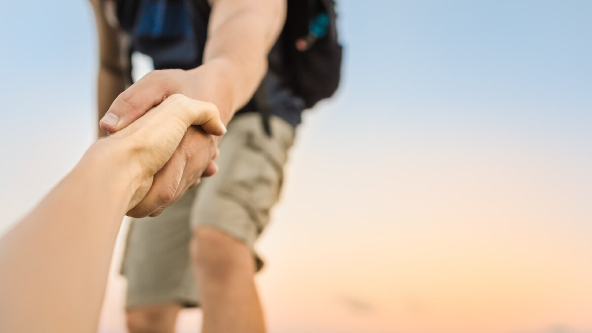 Изображение из открытых источников, носит иллюстративный характер