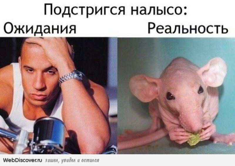 От многих дум их волосы выпали