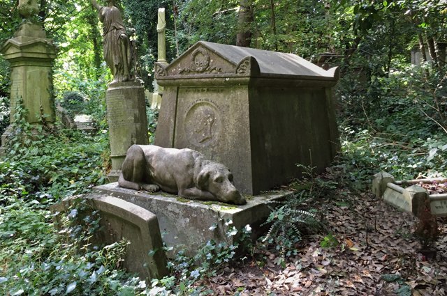    Как правильно похоронить домашнее животное?