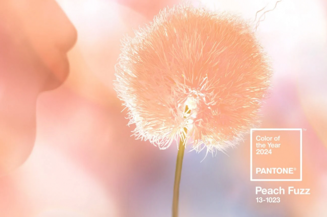    Цвет года Peach Fuzz. Фото: pantone.com
