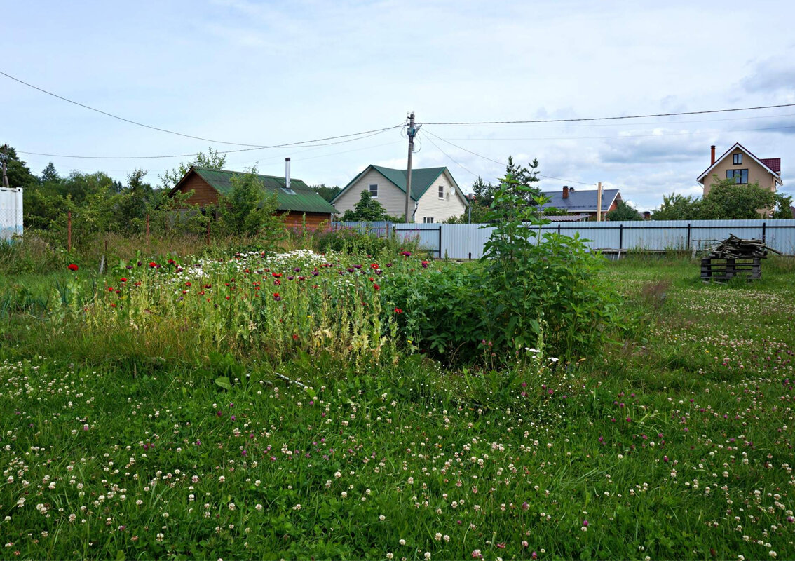 Снт. Как присоединиться к снт. Участки в ломоносовском районе. Как присоединиться к снт. Как присоединиться к снт.