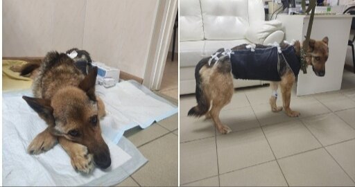 Фото из свободного доступа