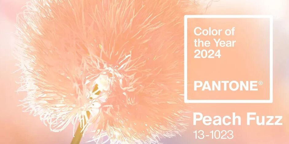 фото - pantone