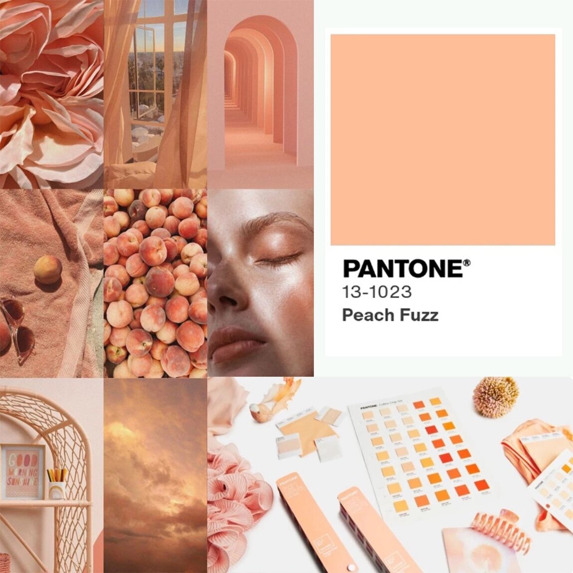 Итак, свершилось! Институт цвета Pantone назвал ГЛАВНЫЙ ЦВЕТ ПРЕДСТОЯЩЕГО 2024 ГОДА.-3