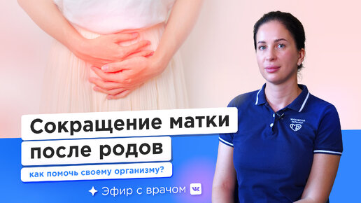 Как матка появляется на свет & Выход матки с маточника