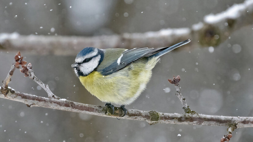   Gettyimages.ru Vlad Moldovan / 500px