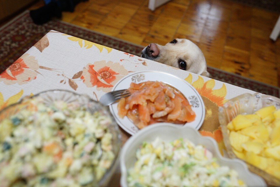    Никаких Оливье и Селедок под шубой в этот раз не будет. Алексей БУЛАТОВ