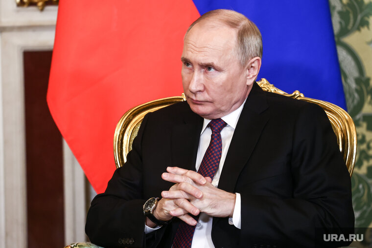   По словам Рогова, у Путина есть поддержка от огромного числа граждан