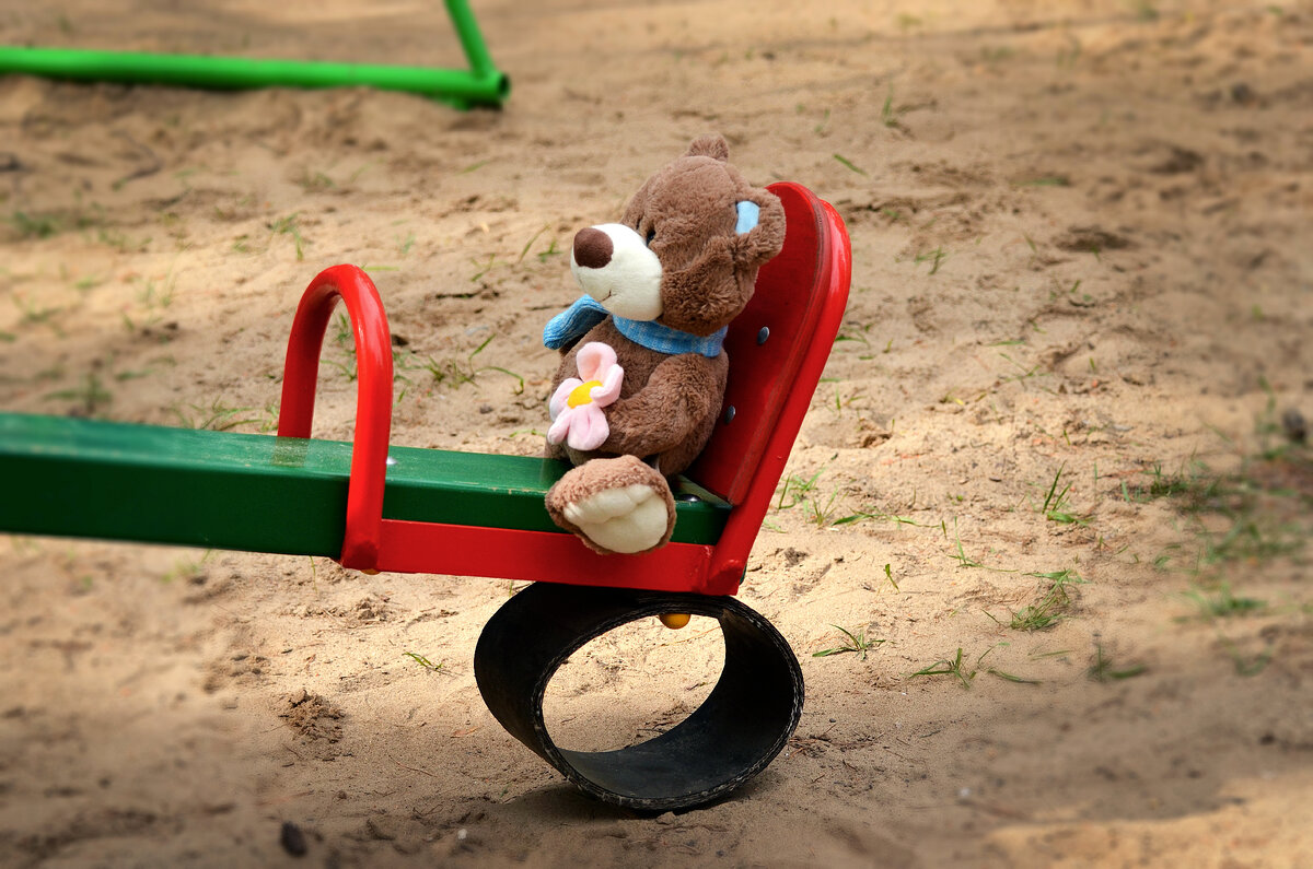 Фото автора статьи. Медведь сидит на одной из сторон оппозиции))