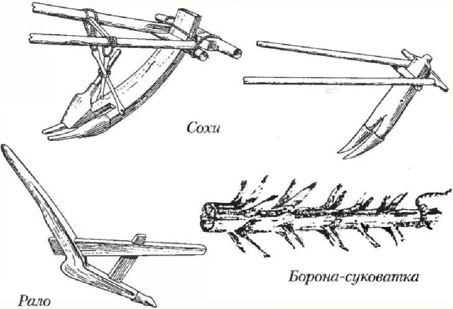 Рало это. Соха борона восточных славян. Орудия труда древних славян Соха. Соха орудие в древней Руси. Орудия труда восточных славян Рало.