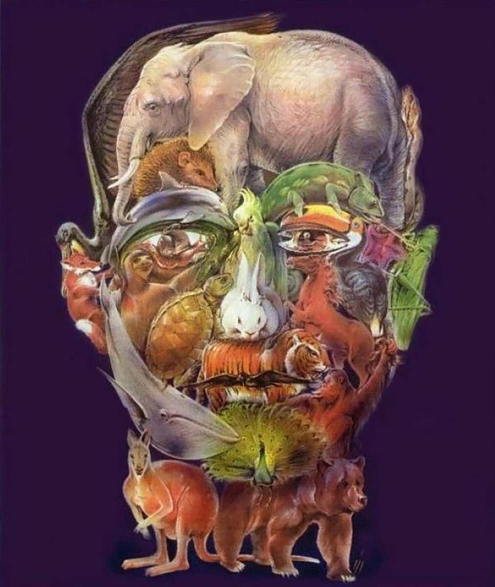 современная загадка