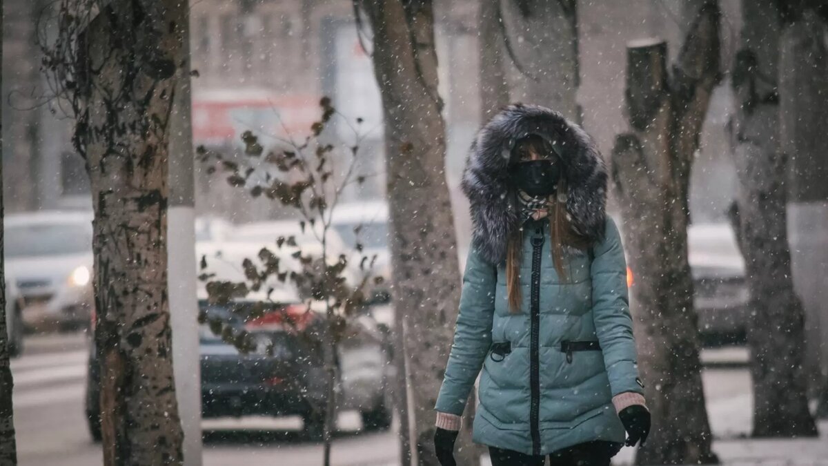     Синоптики поделились прогнозом погоды на выходные в Волгограде — в ночь ударит до -16 градусов, сообщает издание «НовостиВолгограда.ру».