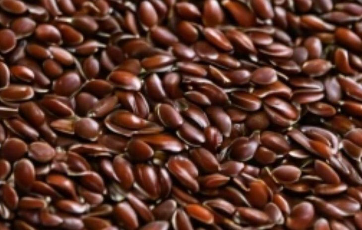    Свыше 70 партий башкирского семян льна на экспорт прошли тщательный контроль на пасмо льна