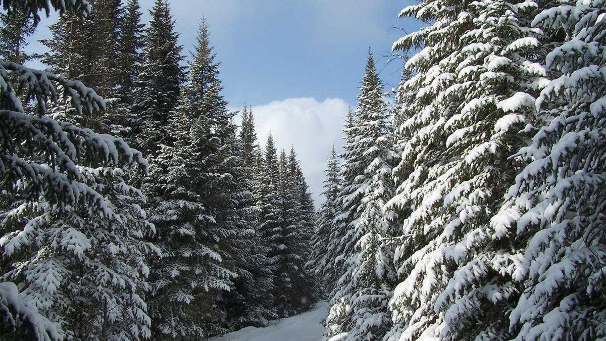 Архив ИД «Компаньон»