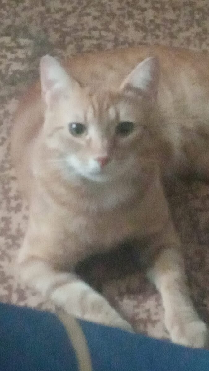 На страже порядка.