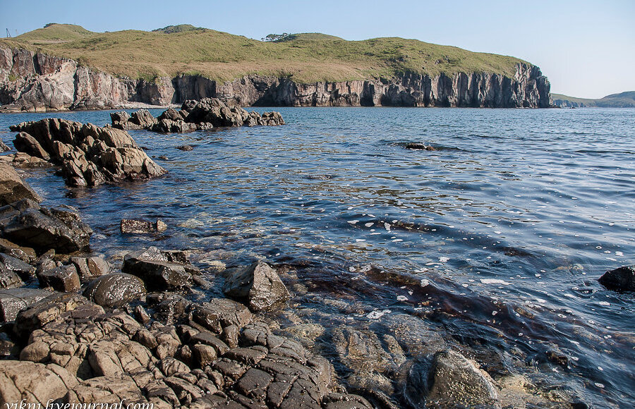 База отдыха "STEP BAY", п. Славянка, бухта …