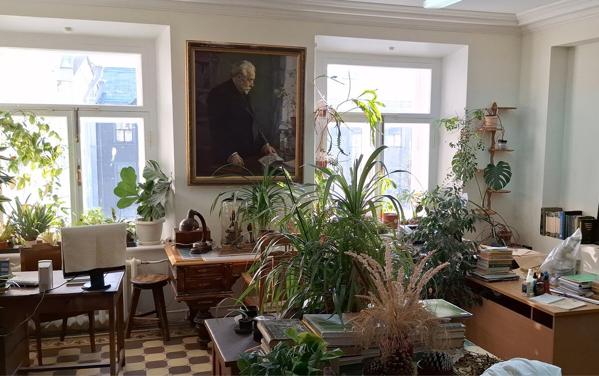 Одно из помещений ботанического отдела музея. Фото: KFU Light