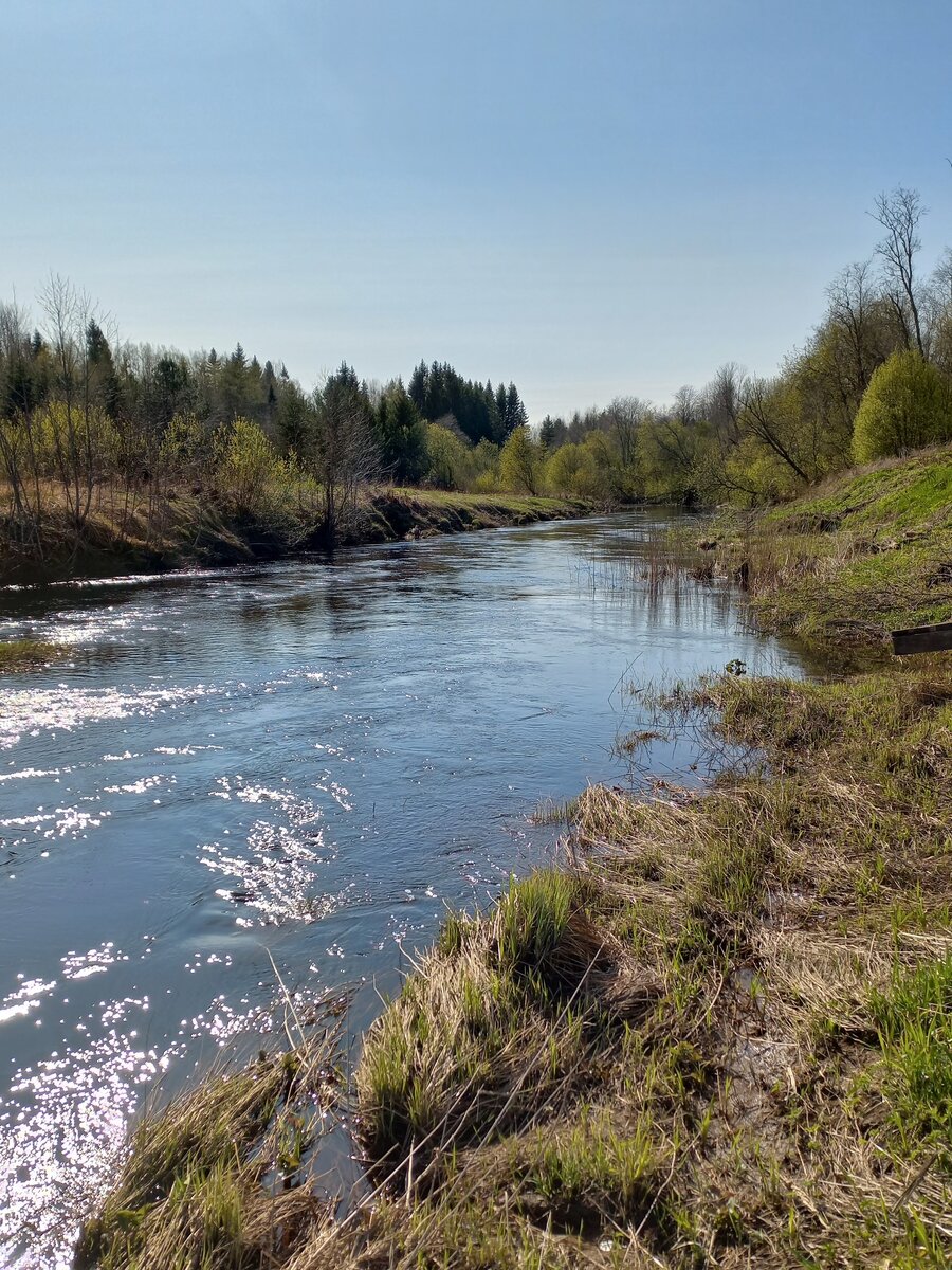 манга забудь меня на русском фото 105