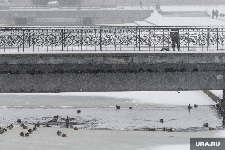    Вадим Шумков попросил главу Шадринска (Курганская область) поторопить подрядчика, который ремонтирует мост