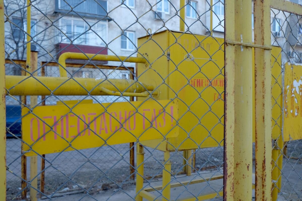 Фото: Е. Зимней.