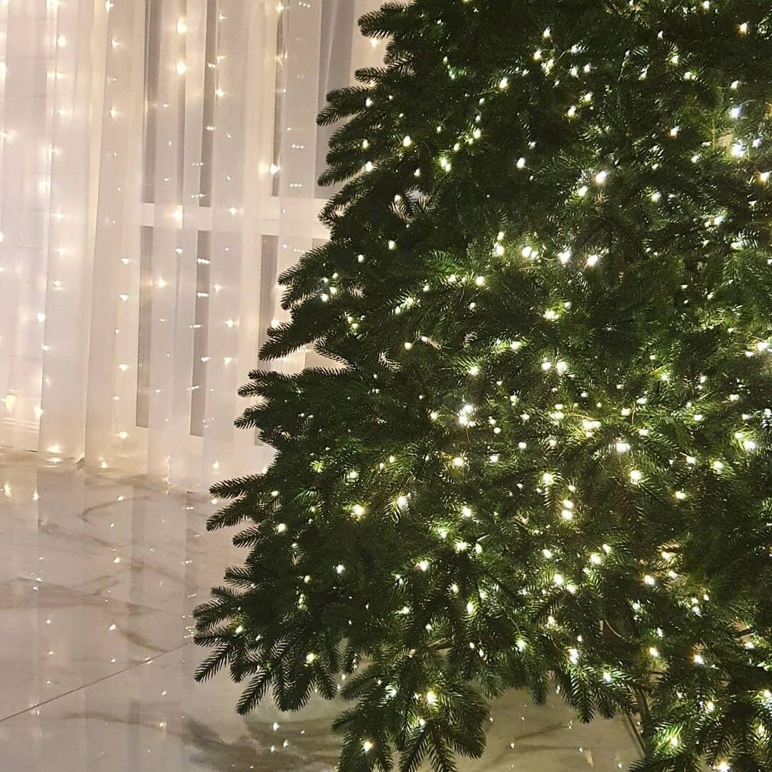    Соцсети блогера zona_dyshi