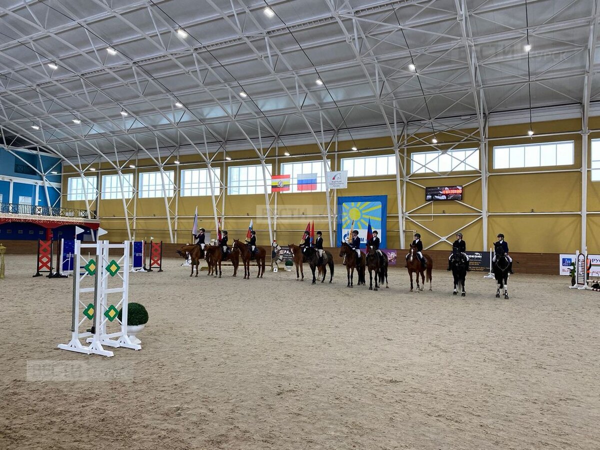 В Курске проходит Кубок Губернатора по конному спорту | Вести-Курск | Дзен