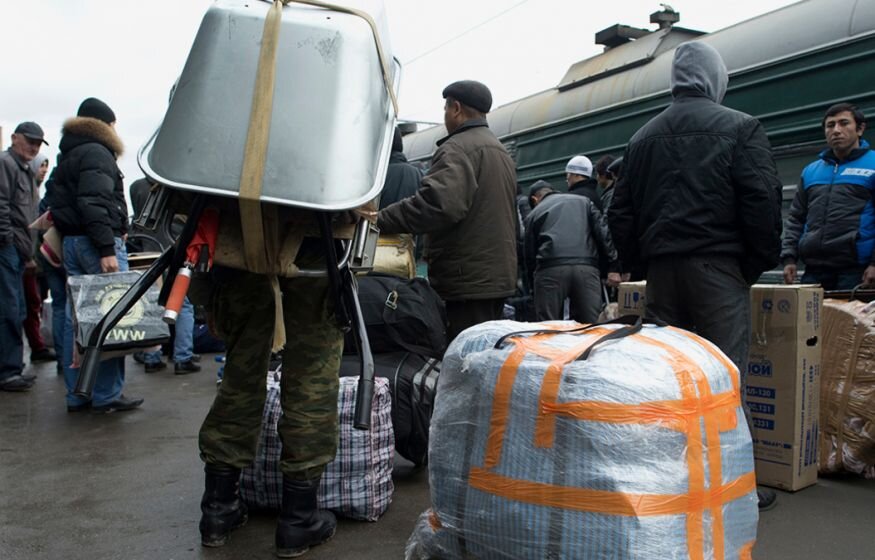    «В 2024 году ждут серьезные перемены»: В Госдуме высказались о неконтролируемой миграции