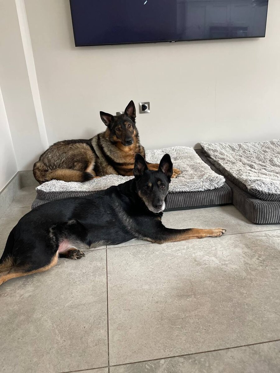 Те самые Хасан и Платон;)