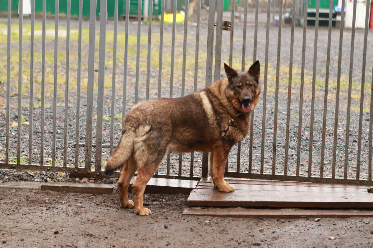 Хасан в приюте