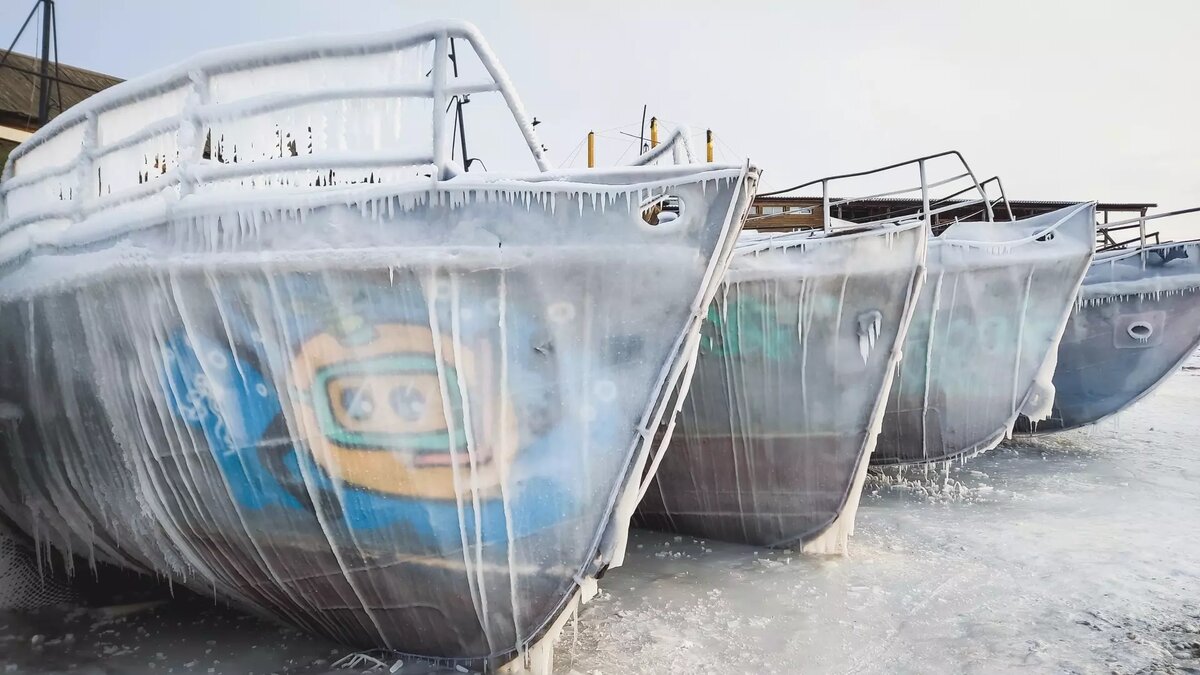     Дончане летают по улицам из-за гололеда и ищут работу с достойной зарплатой, пока в Волгодонске выясняют, что спровоцировало волну отравлений школьников.