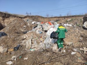    Фото: пресс-служба Межрегионального управления Росприроднадзора по Ростовской области и Республике Калмыкия