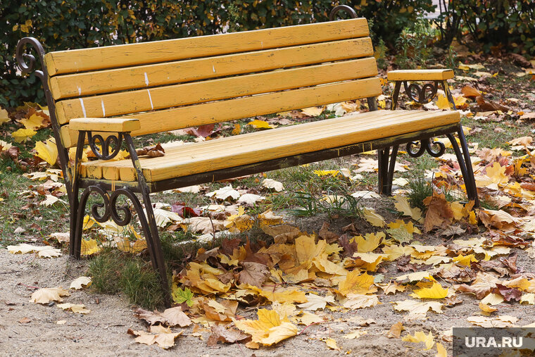    В Тюмени будут обустроены пять новых парков и скверов