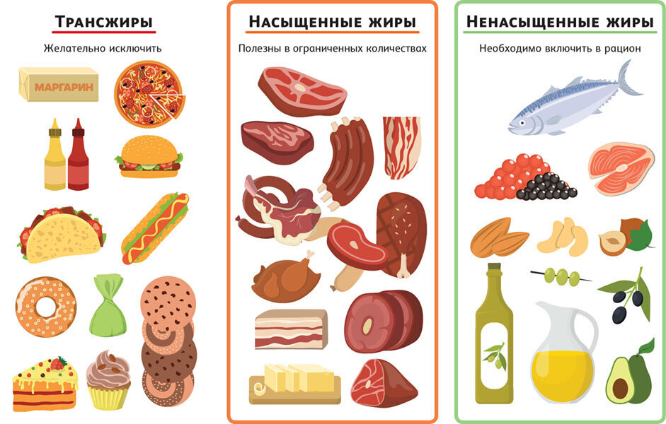 Источники жиров 