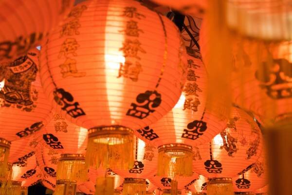 Бык, Лошадь, Коза, Петух, Свинья и Собака традиционно находились в “правильном” китайском хозяйстве. Кот, Обезьяна, Тигр, Крыса, Змея и Дракон считались приносящими удачу.