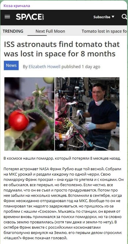 Задорнов оценил бы: На МКС нашли помидор, который американский астронавт потерял 8 месяцев назад