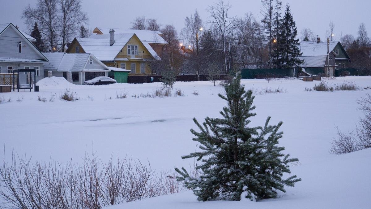 Красноярский край иланский район с. Южно александровская. Южная александровка красноярский край школа. Южно александровская. Школа александровская сош.