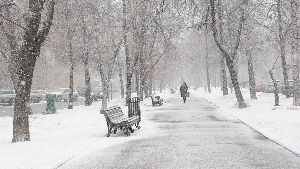    Фото: Пелагия Замятина / Вечерняя Москва