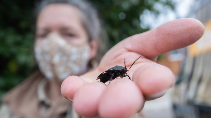 JULIAN STRATENSCHULTE/DPA/GLOBALLOOKPRESS 