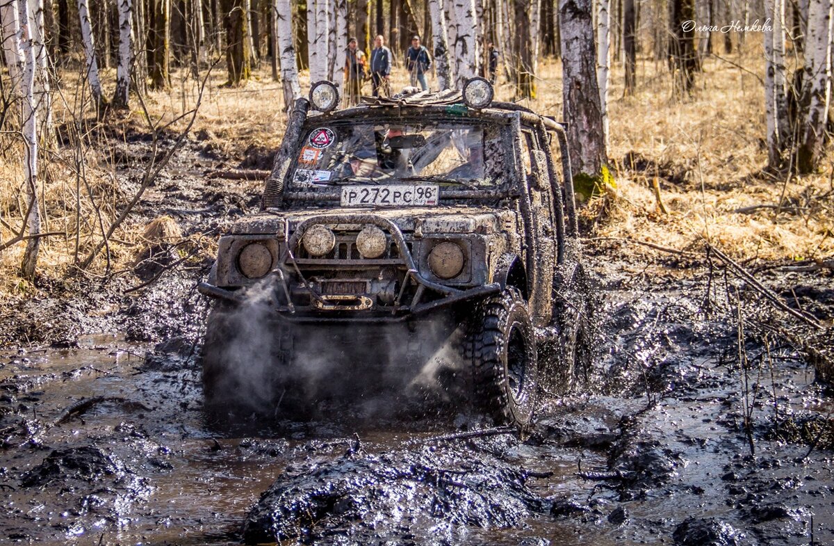 Фото зрителей