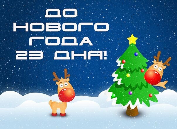 До нового года 23 дня . 