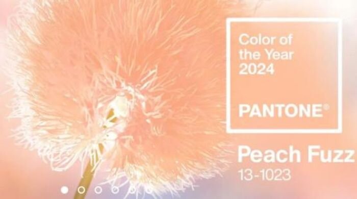 Источник фото: pantone.com