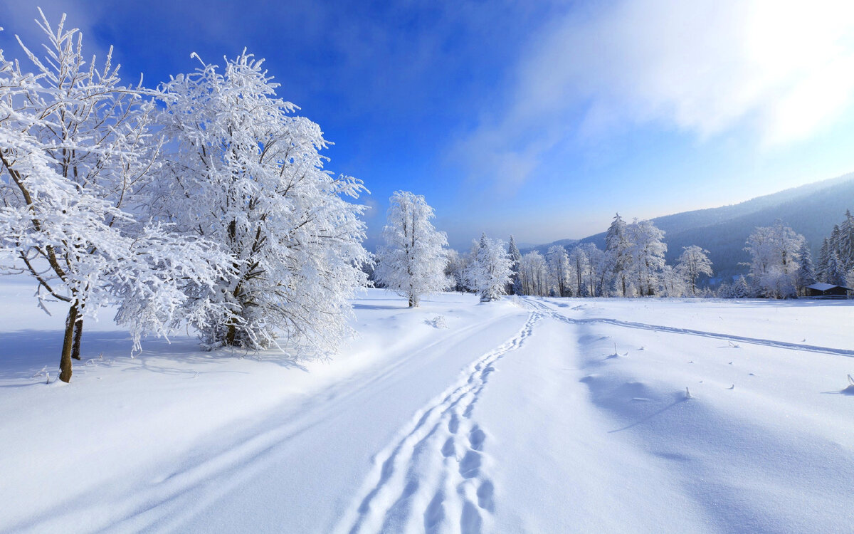 Зима