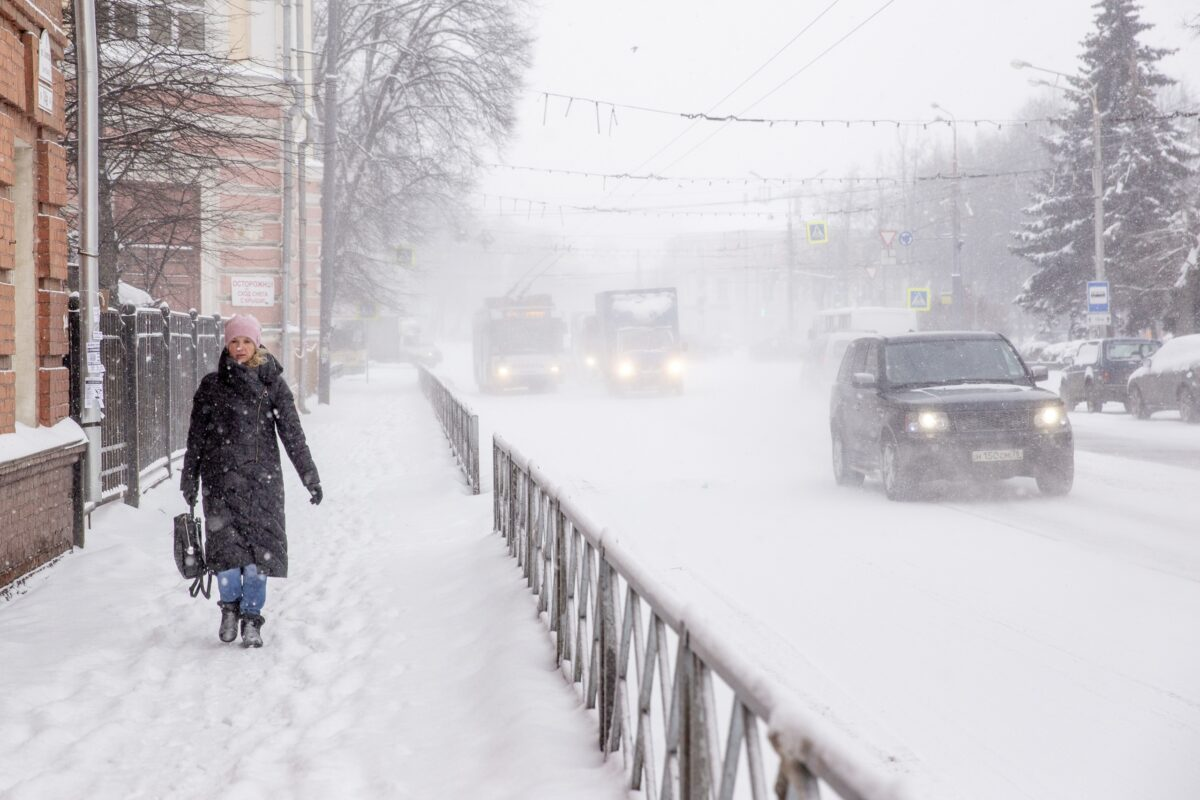 Заморозки